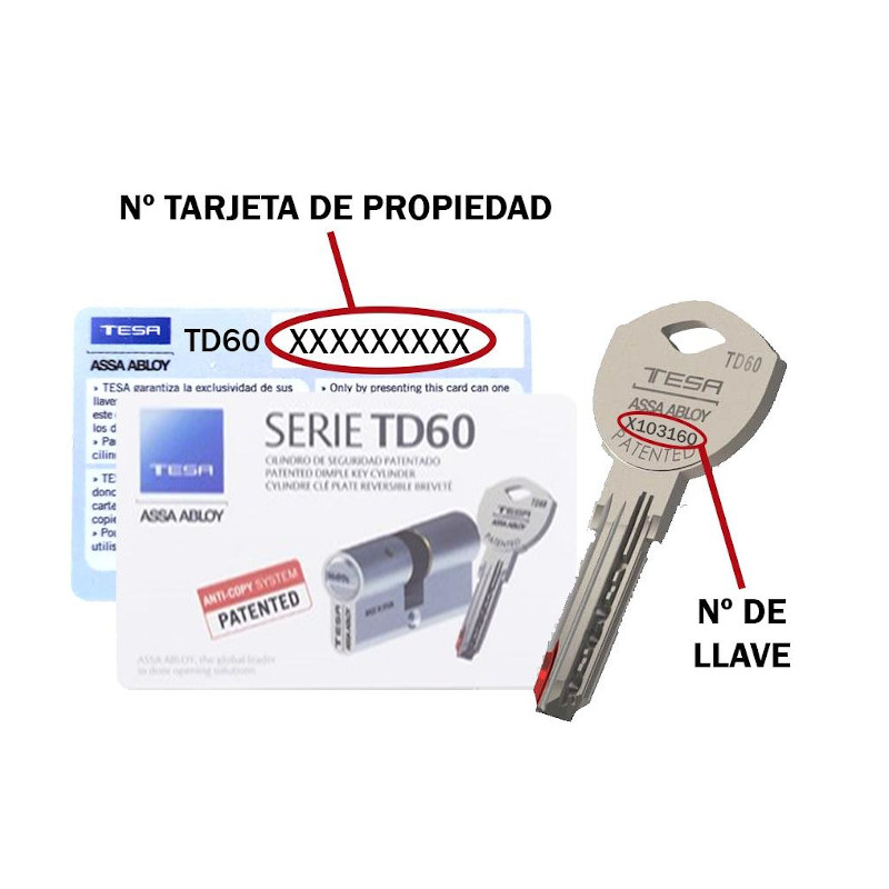 TD60 LLAVE DE SEGURIDAD PROTEGIDA TESA