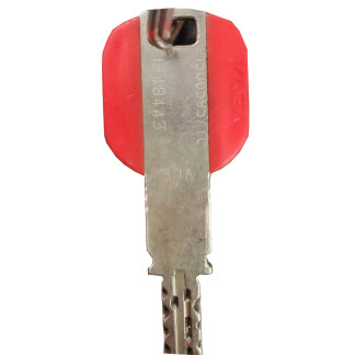 copy of EXPERT LL.PROTEGIDA...