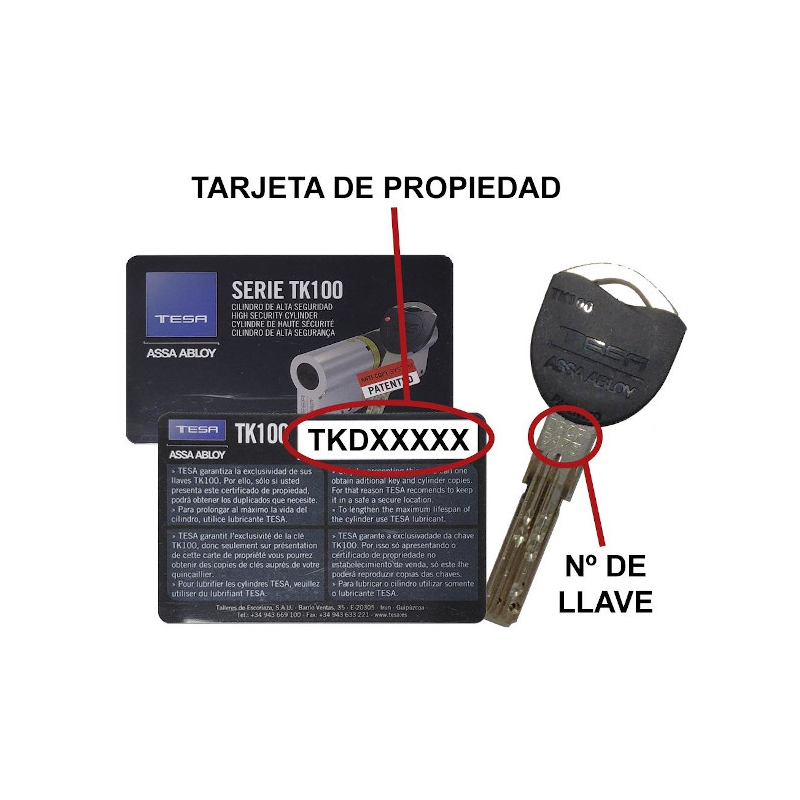 TK-100 LLAVE DE SEGURIDAD PROTEGIDA TESA