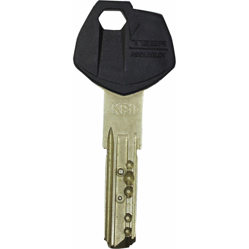 copy of LLAVE PROTEGIDA KESO OMEGA